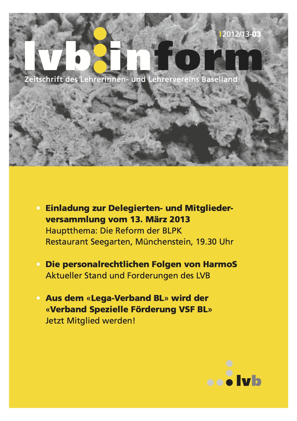 lvb.inform 2012/2013-03 Februar 2013