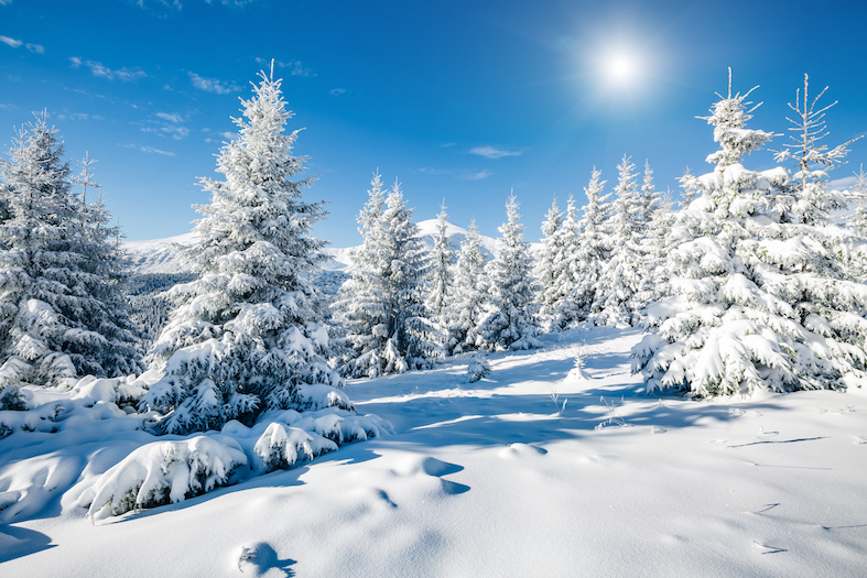 LVB-Adventsnewsletter